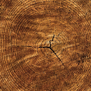 imagem_2024-02-07_112006065